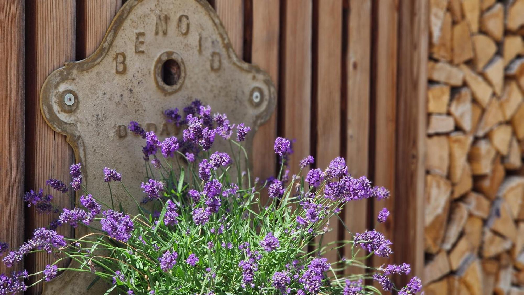 Nostalgie Bed & Breakfast Chraemerhus Curaglia エクステリア 写真